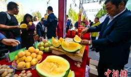 婚庆吃瓜最新事件爆料,最新事件爆料，真相令人震惊！